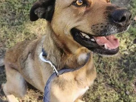 Owen 230 26700 Pierrelatte