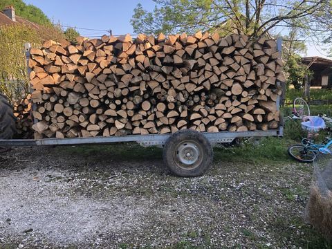 Bois de chauffage 55 L'Isle-sur-le-Doubs (25)