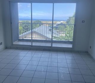  Appartement � louer 2 pi�ces 45 m� Saint-louis