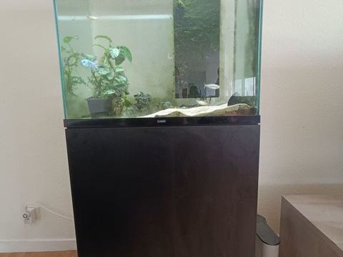 Aquarium avec son meuble 200 14111 Louvigny