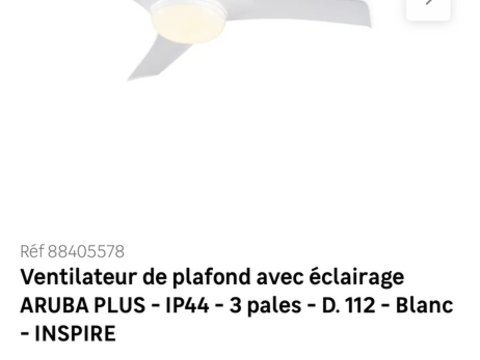 Ventilateur de plafond avec lumière neuf Annecy (74)