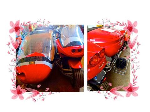 SIDE-BIKE Side-car 2008 occasion Carcassonne 11000