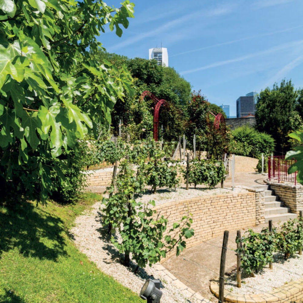 Appartements neufs et Maisons neuves   Puteaux (92800)