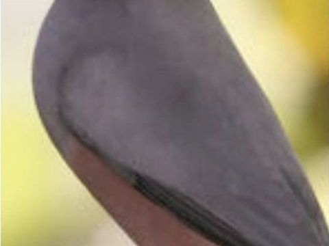 lot oiseaux exotiques Paddas, MDJ, Bavette 20 30100 Al�s