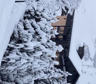 Location  Appartement 