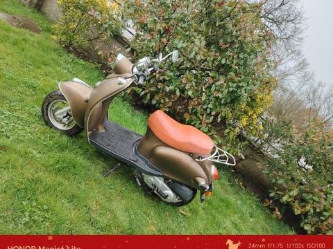 Scooter UNIVERSAL BIKE 2021 occasion Airvault 79600