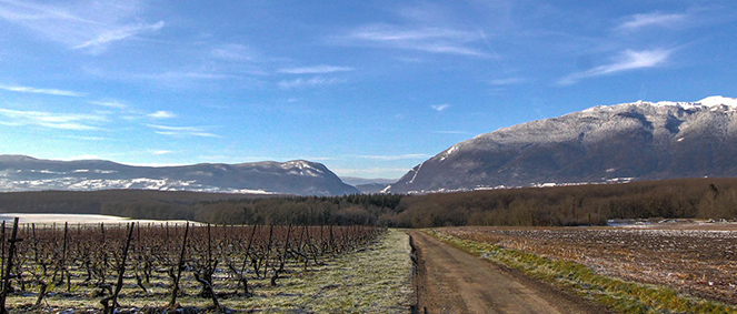 Agence CABINET LANDECY Thoiry