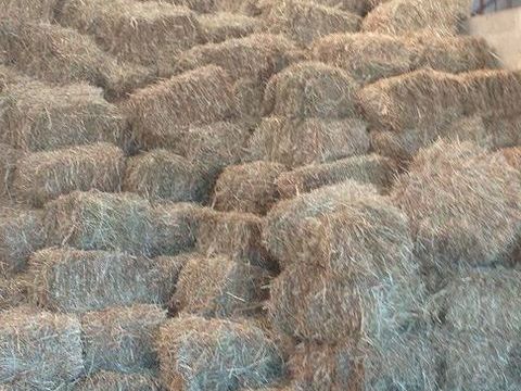 Petites bottes de foin 3 72400 Saint-aubin-des-coudrais