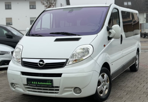 Opel Divers 145 2010 occasion Nancy 54000