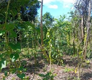  Terrain � vendre 741400 m�