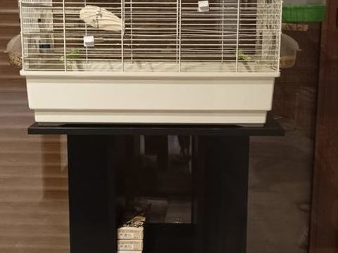 canarie + meuble 50 62138 Billy-berclau