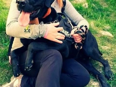 Chien LOTUS &agrave; l adoption 100 26600 Pont-de-l'is�re