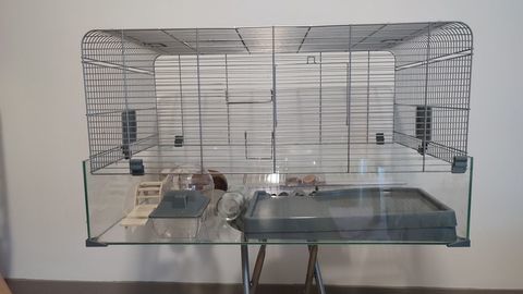 Cage pour hamster+accessoires 100 38320 Eybens