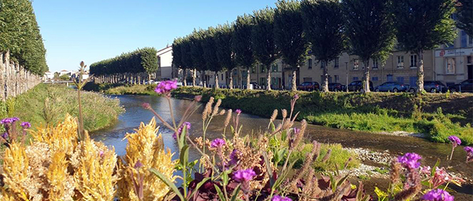 Agence CJ-MO Bar-le-Duc