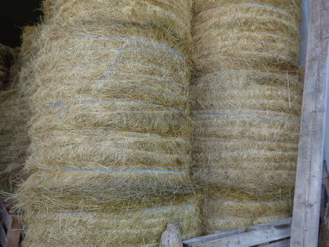 Foin bottes rondes 25 03380 Huriel