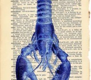 Location  Maison - Villa 