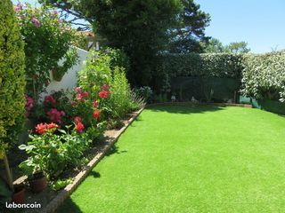 Location  Appartement 