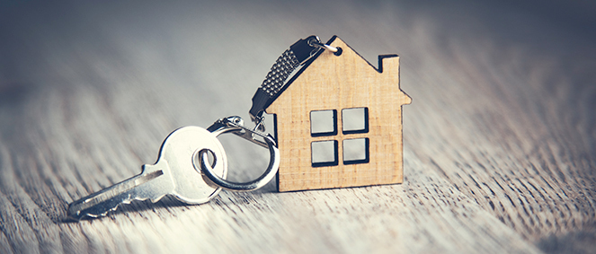 Agence Agence terre latine Contes