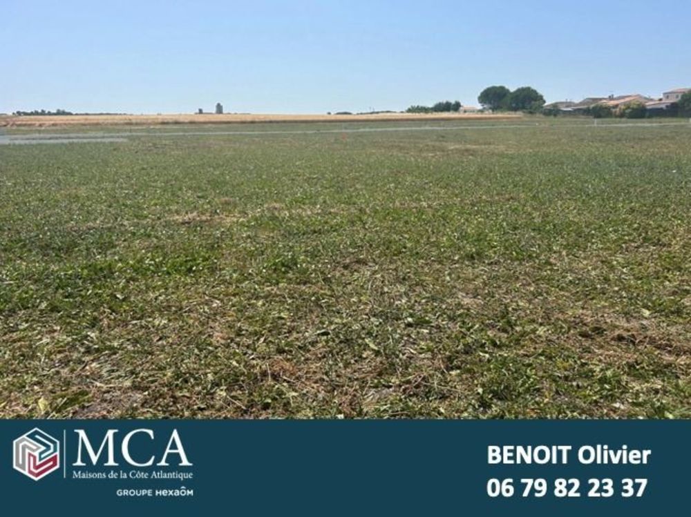 Maisons neuves   Mornac-sur-Seudre (17113)