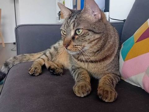 MAURICE 210 92400 Courbevoie