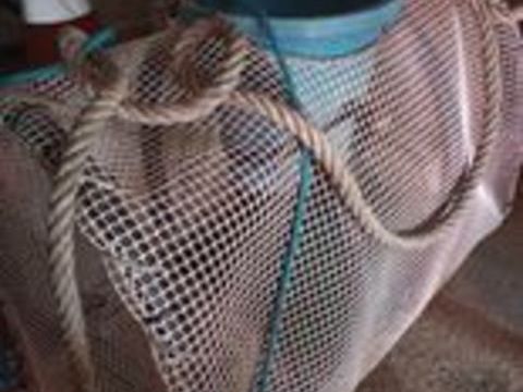 Pi&egrave;ces et &eacute;quipements Nautisme Pi&egrave;ces et &eacute;quipements Nautisme  occasion Saint-Brieuc 22000