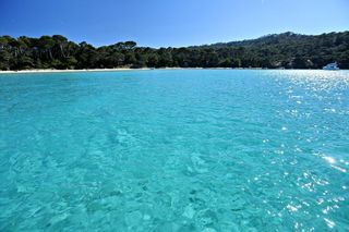 Location  Mobile Home 