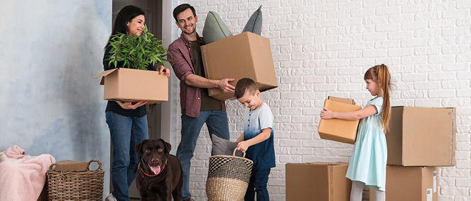 Agence SQUARE HABITAT ORLEANS Orl�ans