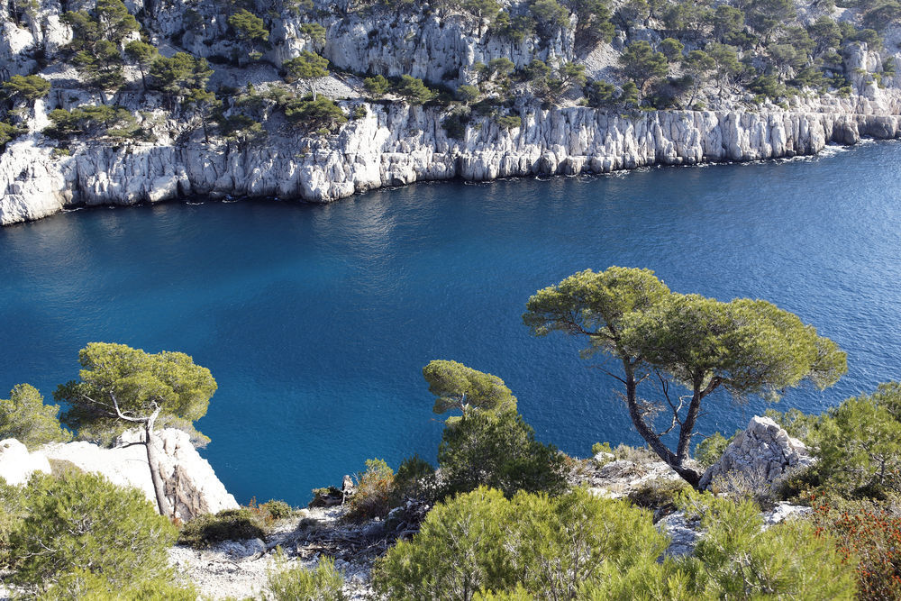   La Seyne-sur-Mer (83500)