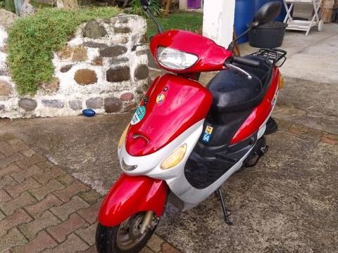 Scooter ZNEN 2011 occasion Menthon-Saint-Bernard 74290
