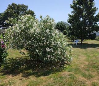  Maison � vendre 8 pi�ces 167 m�