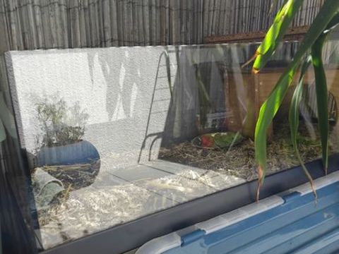 Terrarium tortue 100 13090 Aix-en-provence