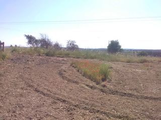  Terrain � louer 300 m�