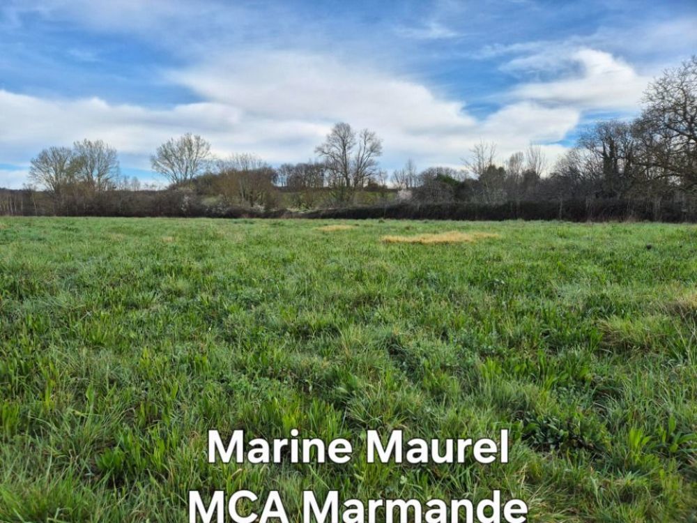 Maisons neuves   Moustier (47800)