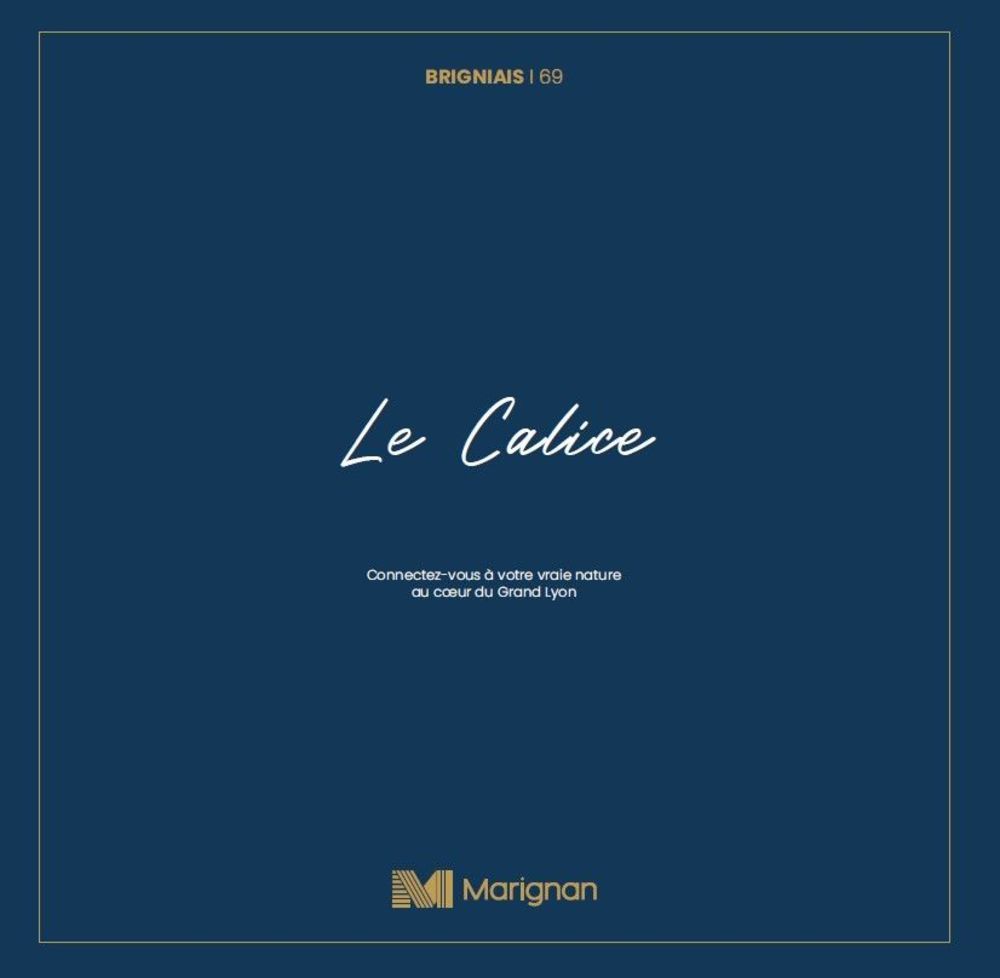 Appartements neufs   Brignais (69530)