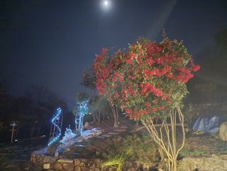  Villa � vendre 10 pi�ces 150 m�