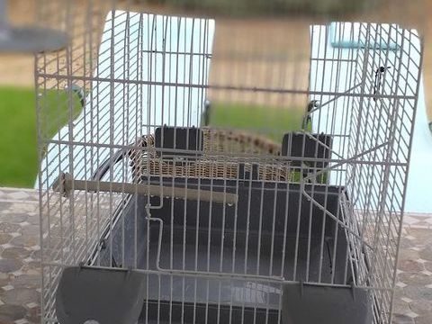 Cede tr&egrave;s belle cage blanche et grise pour oiseaux 50 30290 Laudun-l'ardoise