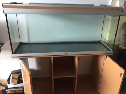 Aquraium 300 97116 Pointe-noire