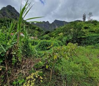  Terrain � vendre 2322 m�