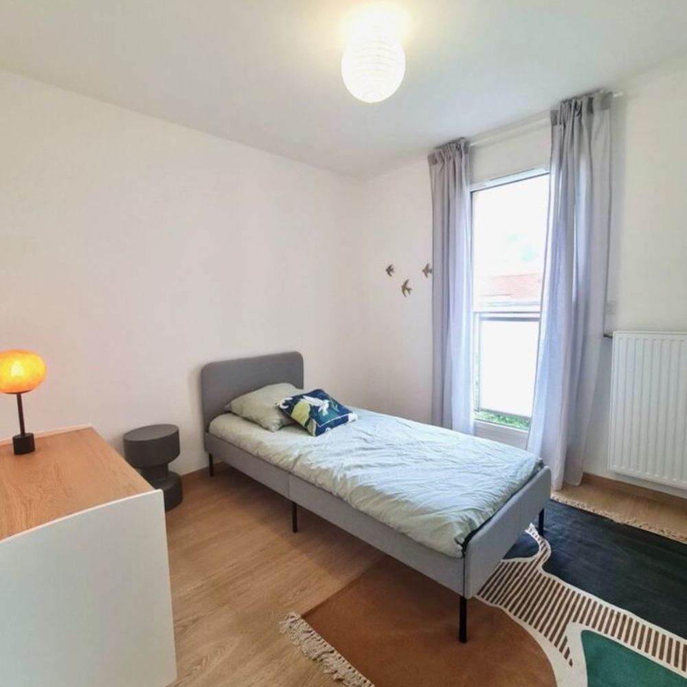   Villeurbanne (69100)