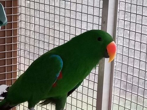 Recherche d'&eacute;change 0 49410 Le marillais