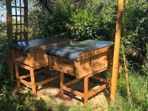 Echange ruche de type Kenyane (22 cadres) contre 2 essaims 0 83400 Hy�res