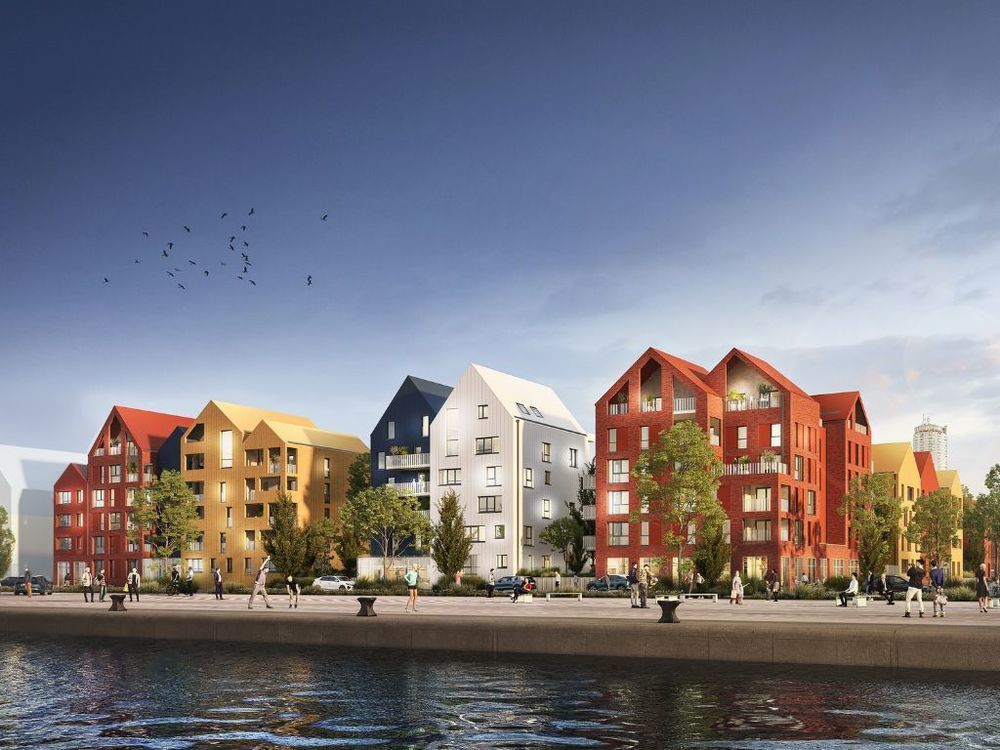 Appartements neufs   Dunkerque (59140)