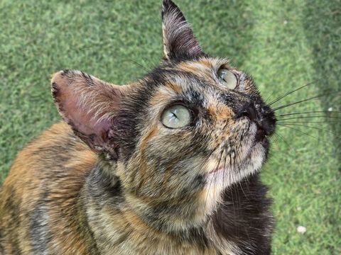 ABRIL 220 95610 �ragny