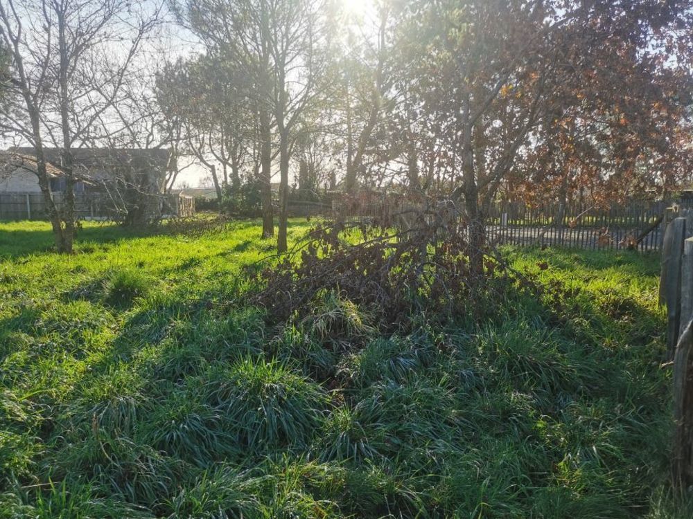 Maisons neuves   Le Porge (33680)