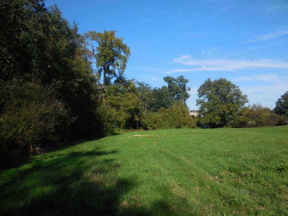 Maisons neuves   Faleyras (33760)