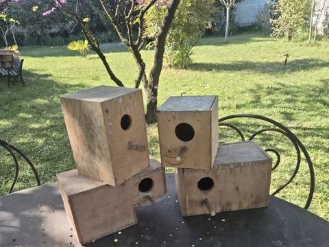 lot Nids Nichoirs bois pour oiseaux exotiques BE 30 30140 Anduze