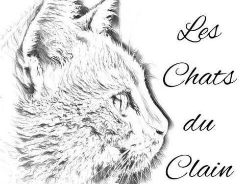 Recherche des familles d'accueil 0 86000 Poitiers