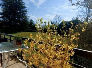  Appartement � vendre 3 pi�ces 74 m�