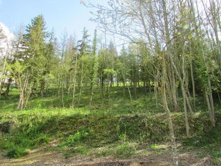  Terrain � vendre 1712 m�