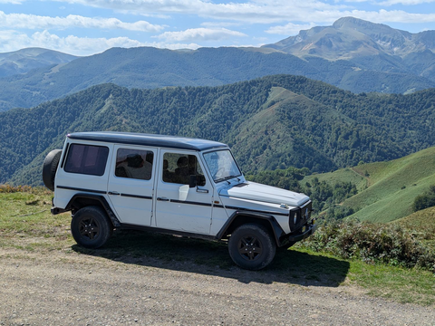 Mercedes Classe G 250 GD Break Long 1981 occasion Pissos 40410